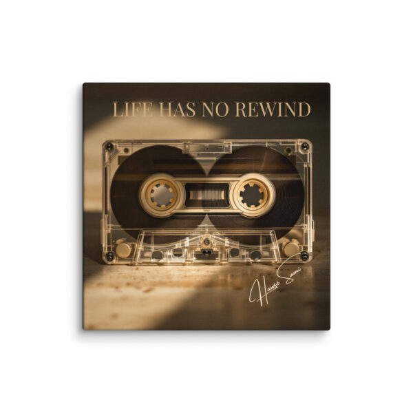 Life Has No Rewind - Image 2