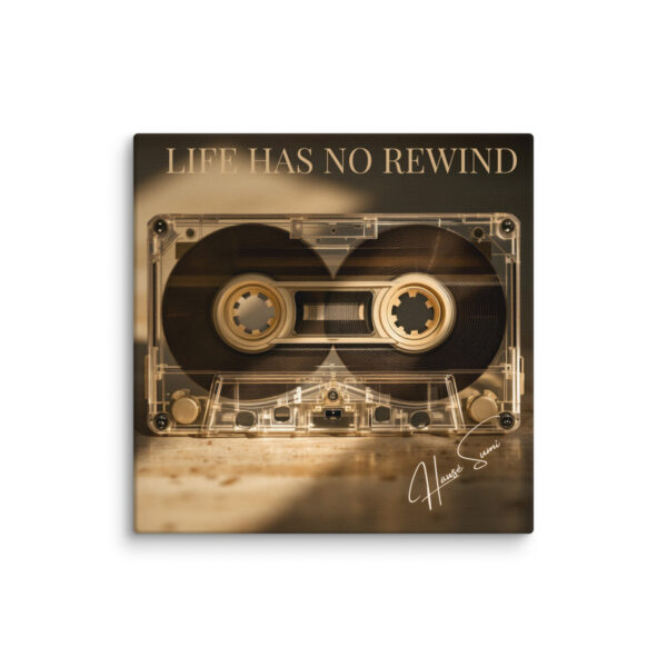 Life Has No Rewind - Image 14