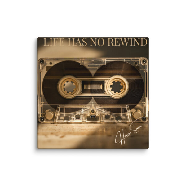 Life Has No Rewind - Image 4
