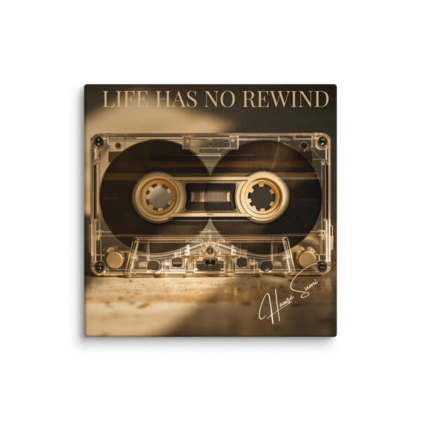 Life Has No Rewind - Image 6