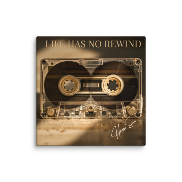 Life Has No Rewind - Image 10